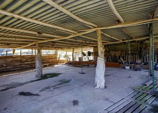 Galicia, Coruña, Abegondo, granja, nave vacas 4