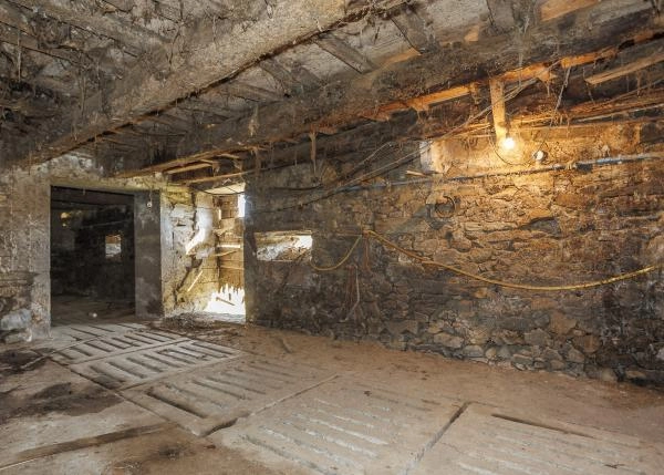  Galicia, Coruña, Abegondo, granja, nave vacas 5