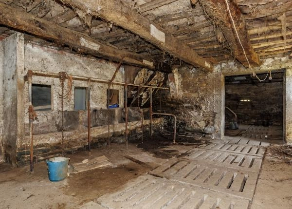 Galicia, Coruña, Abegondo, granja, nave vacas 6