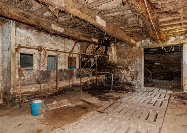 Galicia, La Coruña, Abegondo, granja, vaqueria 3