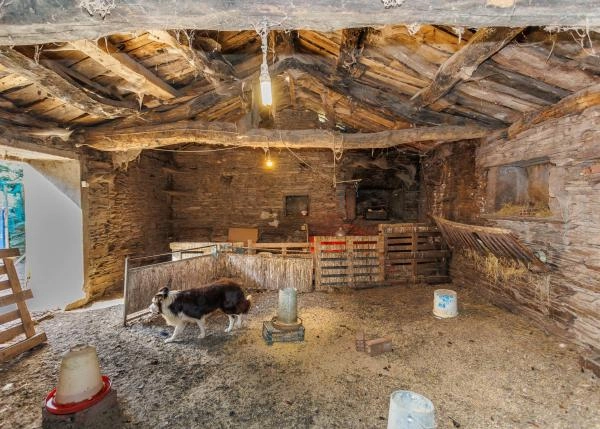 Galicia, Lugo, Outeiro de Rei, acomodacion animales 4