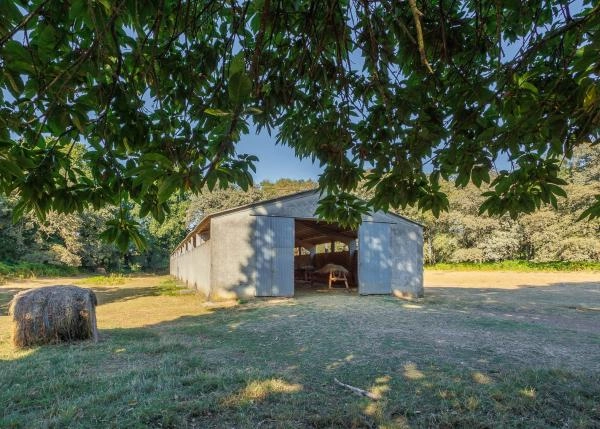 Galicia, Lugo, Outeiro de Rei, nave vacuno 1