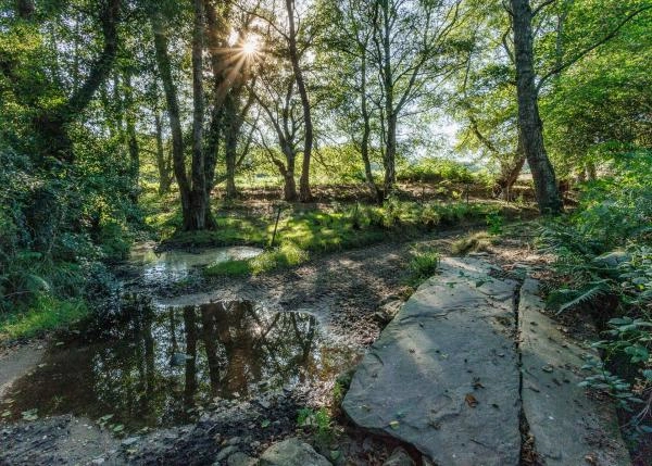 Galicia, Lugo, Outeiro de Rei, pequeño riachelo