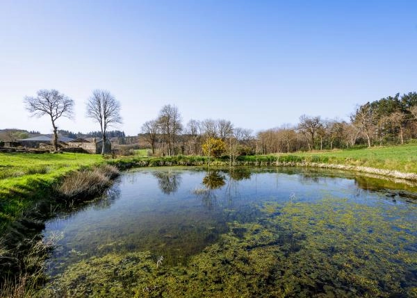 Galicia, Lugo, A Campiña casa de campo, lagunita