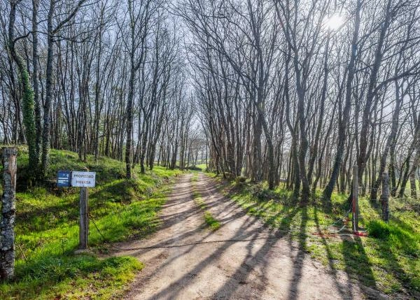 2-Labio-66226629beb2c