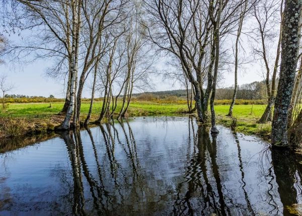 Galicia, A Campiña Lugo, casa de campo, lagunita 2
