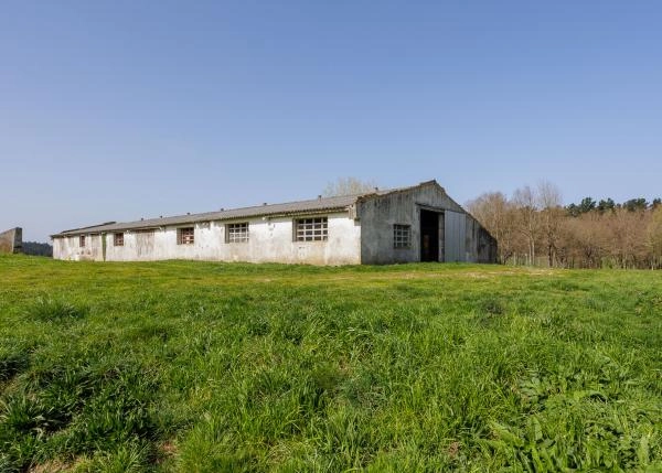 Galicia, Lugo, A Campiña, casa de campo, nave vacuno 1