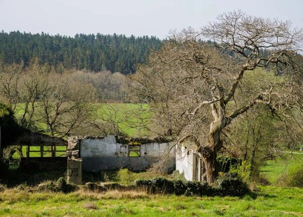 Galicia, Lugo, A Campiña , casa de campo, ruinas 1