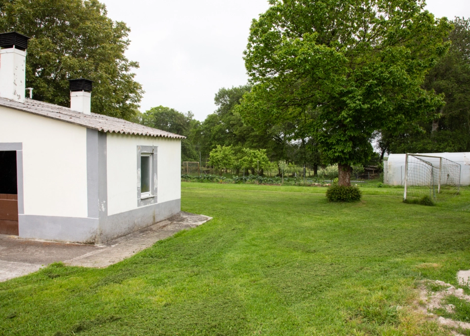 19A1920-64a273b6dc715