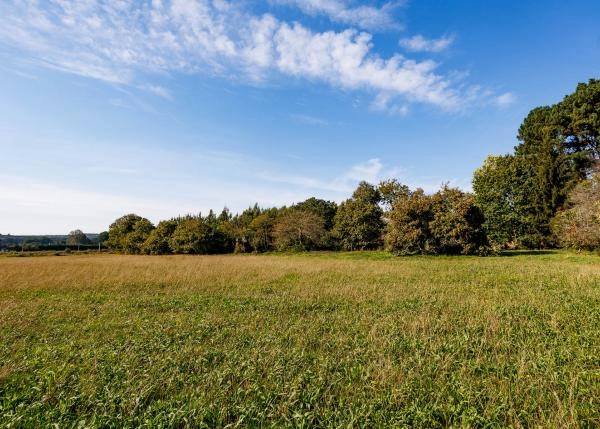 Galicia, Lugo, Castro de Rei, casa de campo, campos