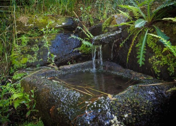 Galicia, Lugo; Begonte, spring water