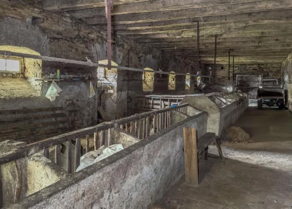 Asturias, Vegadeo, cuadras cerdos