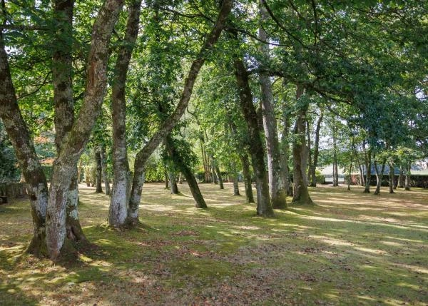 Galicia, Lugo, Cospeito, jardin