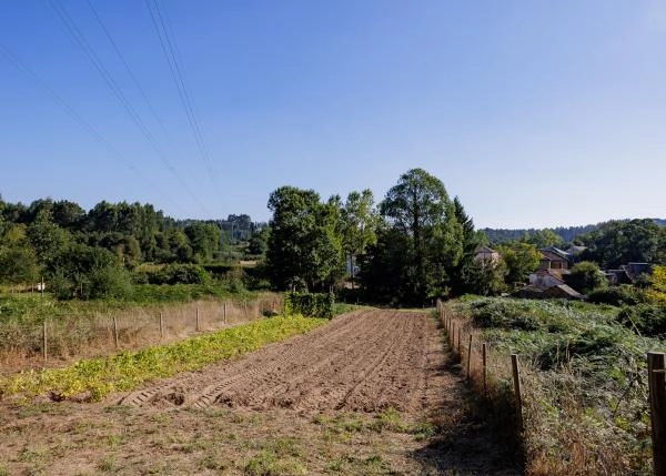 2128 - Galica, Lugo, Outeiro de Rei, terreno para plantar