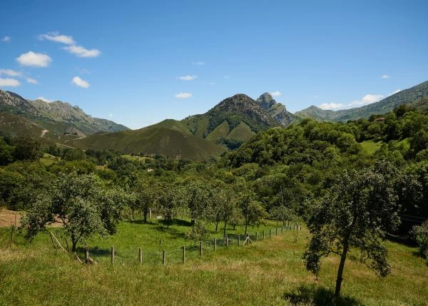 Asturias, Alles, La Tahona, alrededores 1